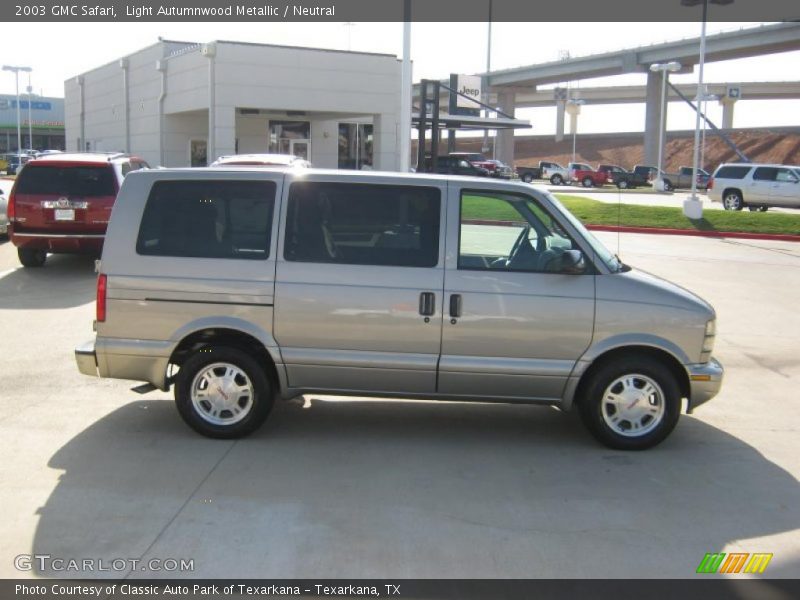 Light Autumnwood Metallic / Neutral 2003 GMC Safari