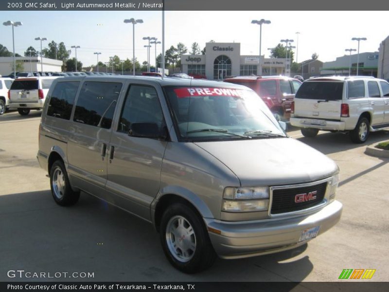 Light Autumnwood Metallic / Neutral 2003 GMC Safari