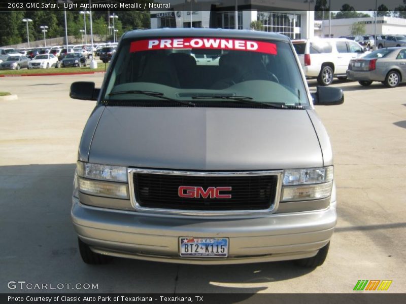 Light Autumnwood Metallic / Neutral 2003 GMC Safari
