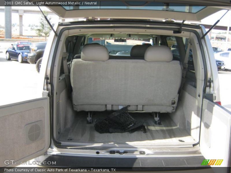 Light Autumnwood Metallic / Neutral 2003 GMC Safari