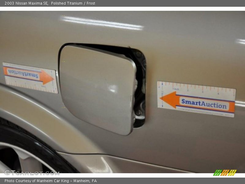 Polished Titanium / Frost 2003 Nissan Maxima SE