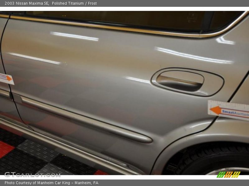 Polished Titanium / Frost 2003 Nissan Maxima SE