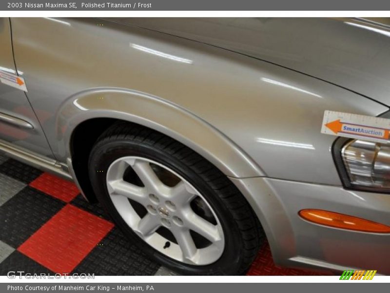 Polished Titanium / Frost 2003 Nissan Maxima SE