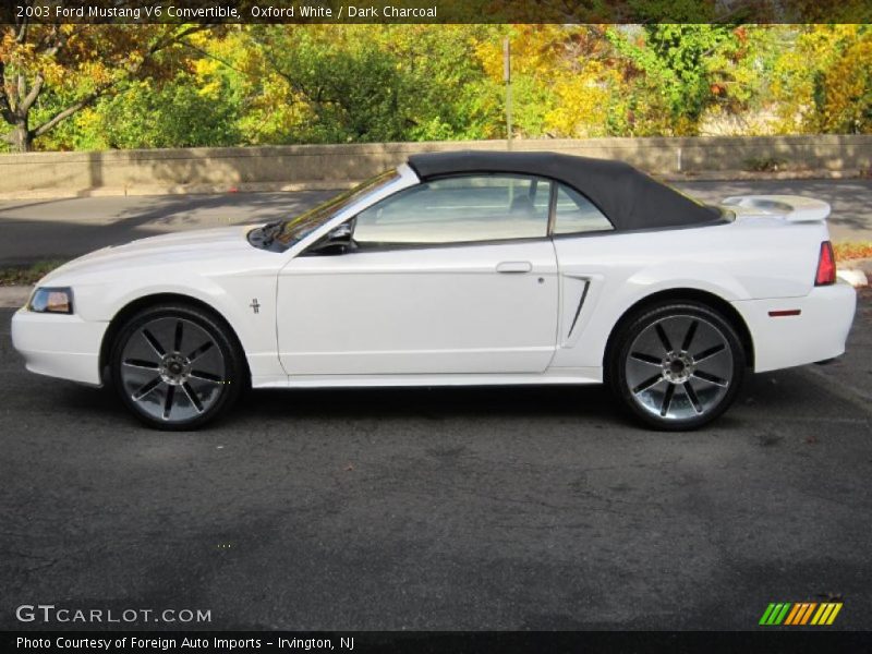 Oxford White / Dark Charcoal 2003 Ford Mustang V6 Convertible