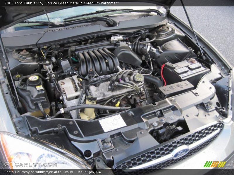 Spruce Green Metallic / Medium Parchment 2003 Ford Taurus SES