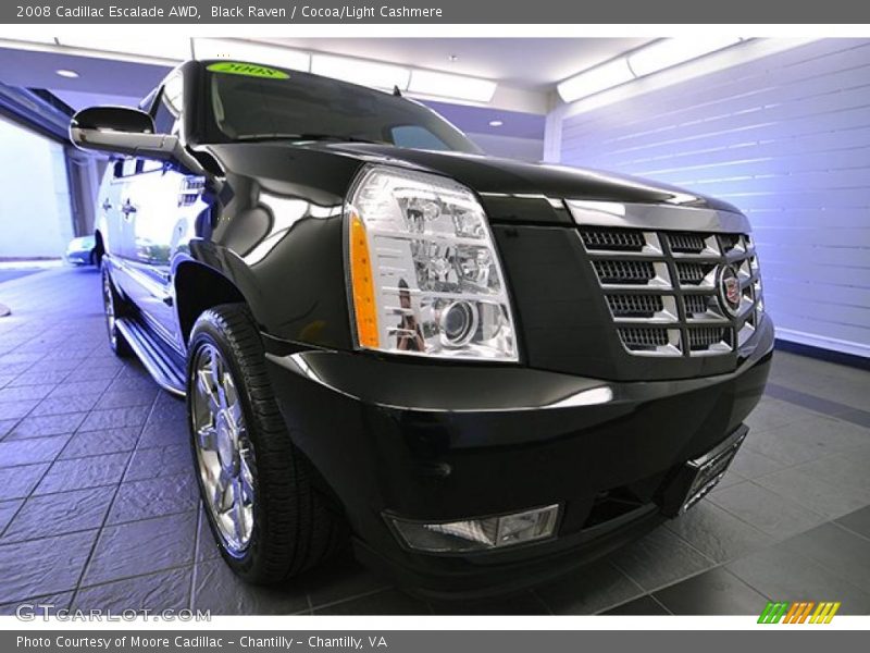 Black Raven / Cocoa/Light Cashmere 2008 Cadillac Escalade AWD