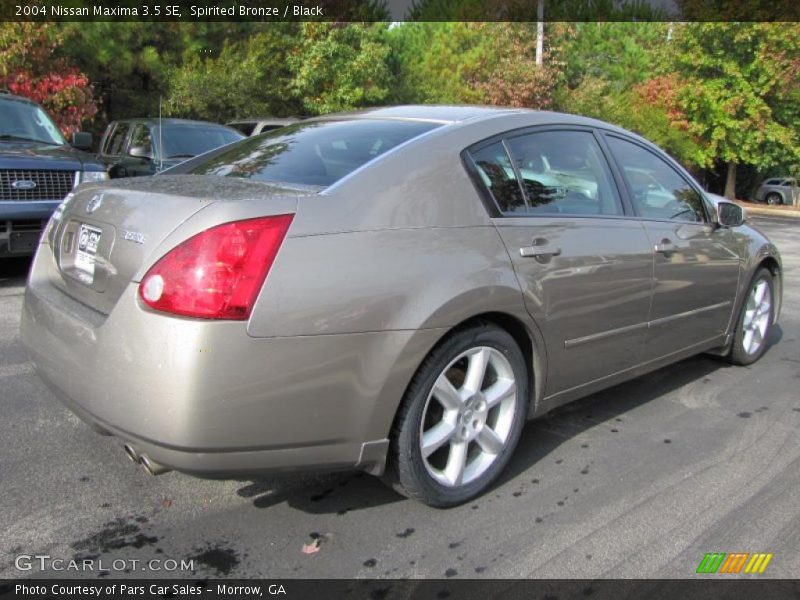 Spirited Bronze / Black 2004 Nissan Maxima 3.5 SE