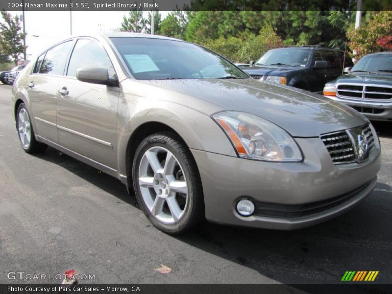 Spirited Bronze / Black 2004 Nissan Maxima 3.5 SE