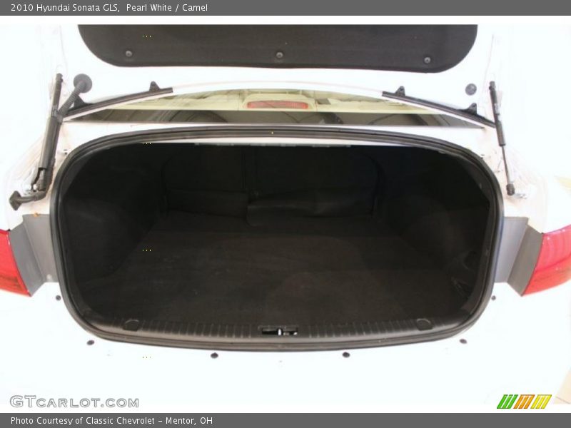 Pearl White / Camel 2010 Hyundai Sonata GLS