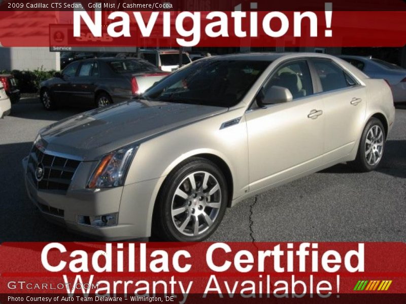 Gold Mist / Cashmere/Cocoa 2009 Cadillac CTS Sedan