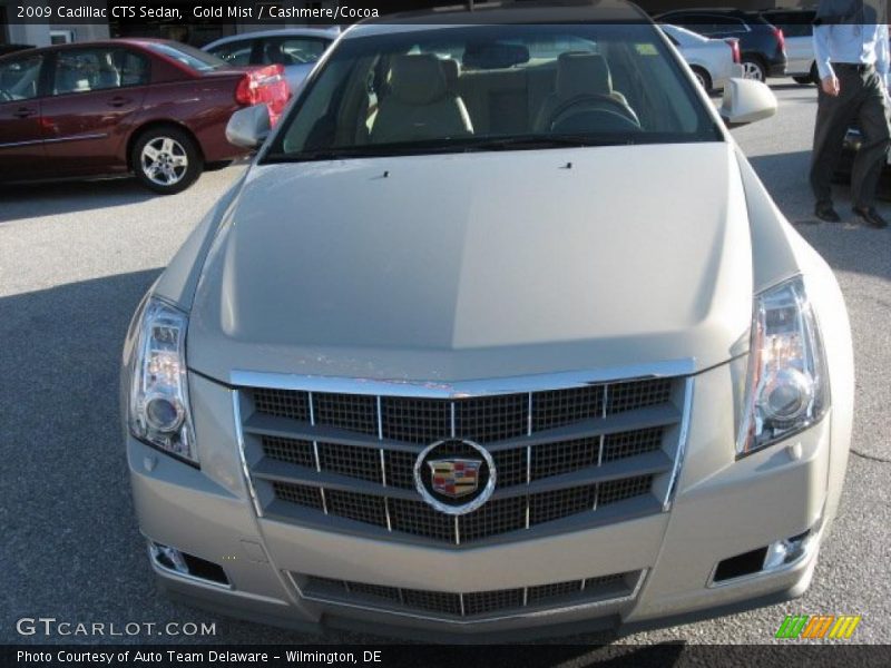 Gold Mist / Cashmere/Cocoa 2009 Cadillac CTS Sedan