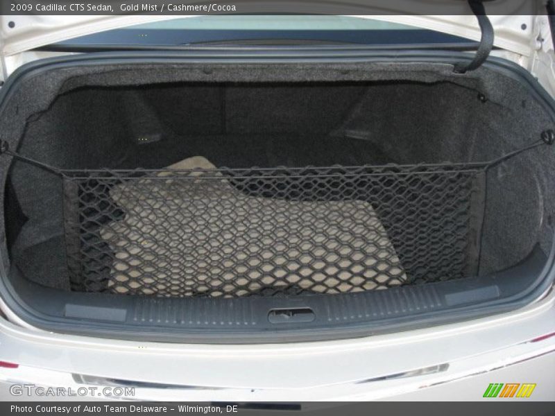 Gold Mist / Cashmere/Cocoa 2009 Cadillac CTS Sedan