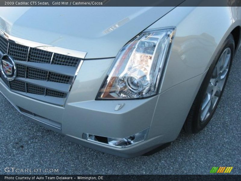 Gold Mist / Cashmere/Cocoa 2009 Cadillac CTS Sedan