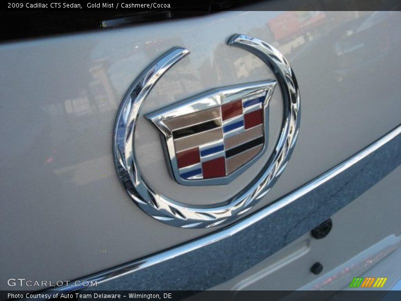 Gold Mist / Cashmere/Cocoa 2009 Cadillac CTS Sedan