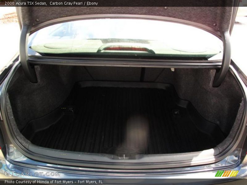Carbon Gray Pearl / Ebony 2008 Acura TSX Sedan