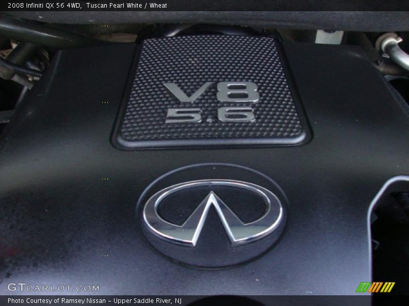 Tuscan Pearl White / Wheat 2008 Infiniti QX 56 4WD