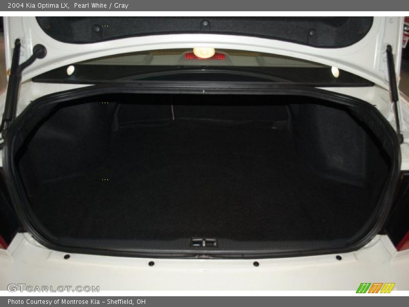 Pearl White / Gray 2004 Kia Optima LX