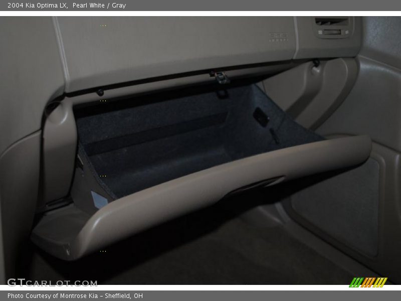 Pearl White / Gray 2004 Kia Optima LX