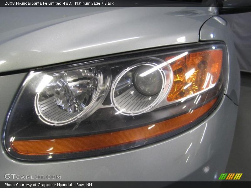Platinum Sage / Black 2008 Hyundai Santa Fe Limited 4WD