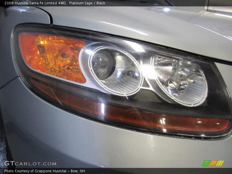 Platinum Sage / Black 2008 Hyundai Santa Fe Limited 4WD