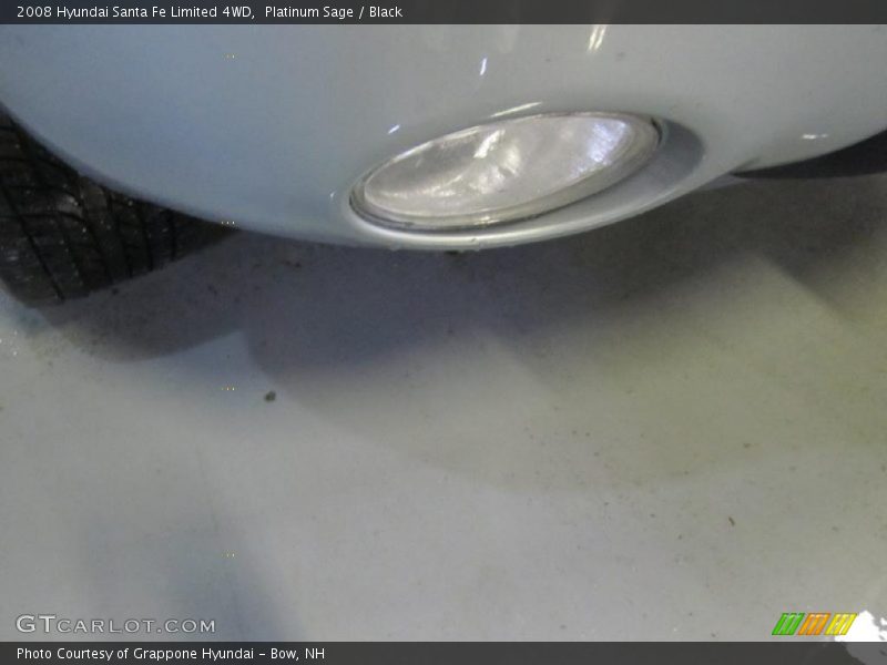 Platinum Sage / Black 2008 Hyundai Santa Fe Limited 4WD