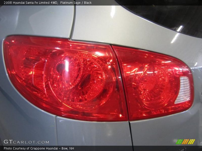 Platinum Sage / Black 2008 Hyundai Santa Fe Limited 4WD