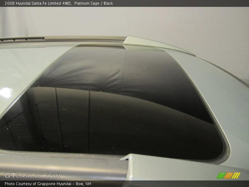 Platinum Sage / Black 2008 Hyundai Santa Fe Limited 4WD