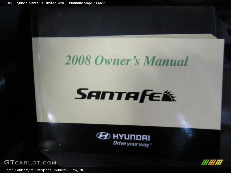Platinum Sage / Black 2008 Hyundai Santa Fe Limited 4WD