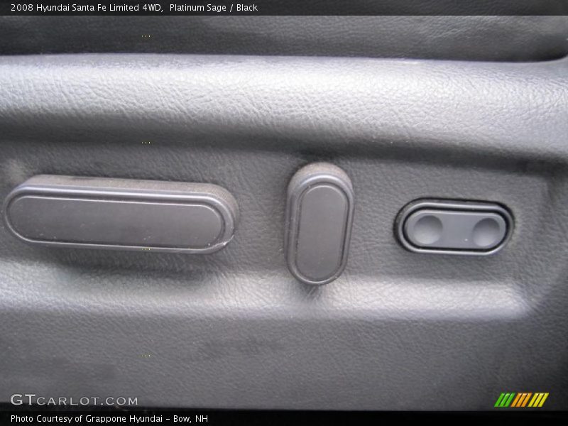 Platinum Sage / Black 2008 Hyundai Santa Fe Limited 4WD