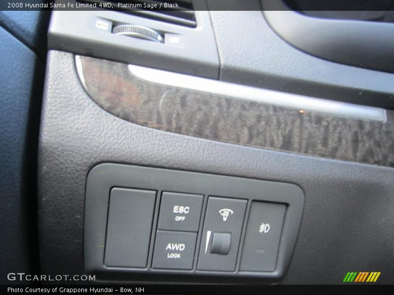 Platinum Sage / Black 2008 Hyundai Santa Fe Limited 4WD