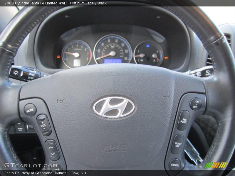 Platinum Sage / Black 2008 Hyundai Santa Fe Limited 4WD