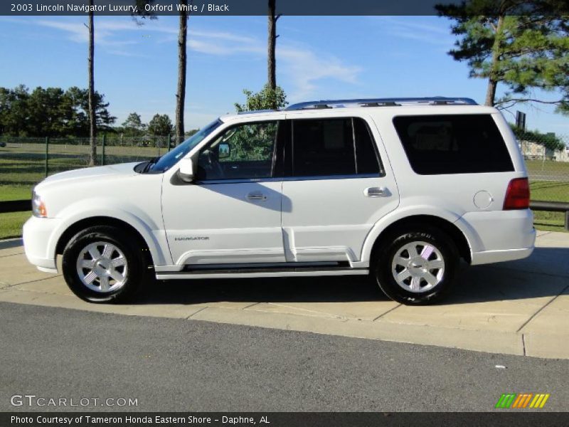 Oxford White / Black 2003 Lincoln Navigator Luxury