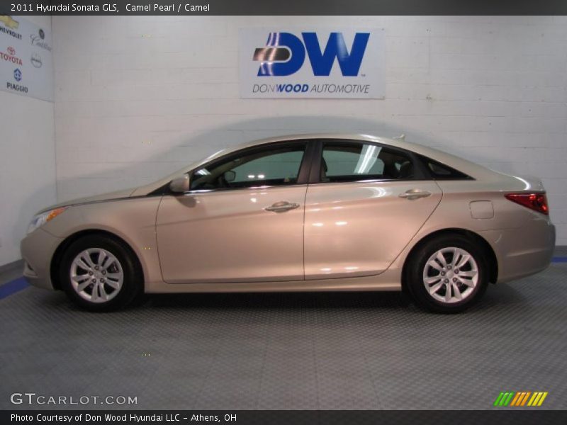 Camel Pearl / Camel 2011 Hyundai Sonata GLS