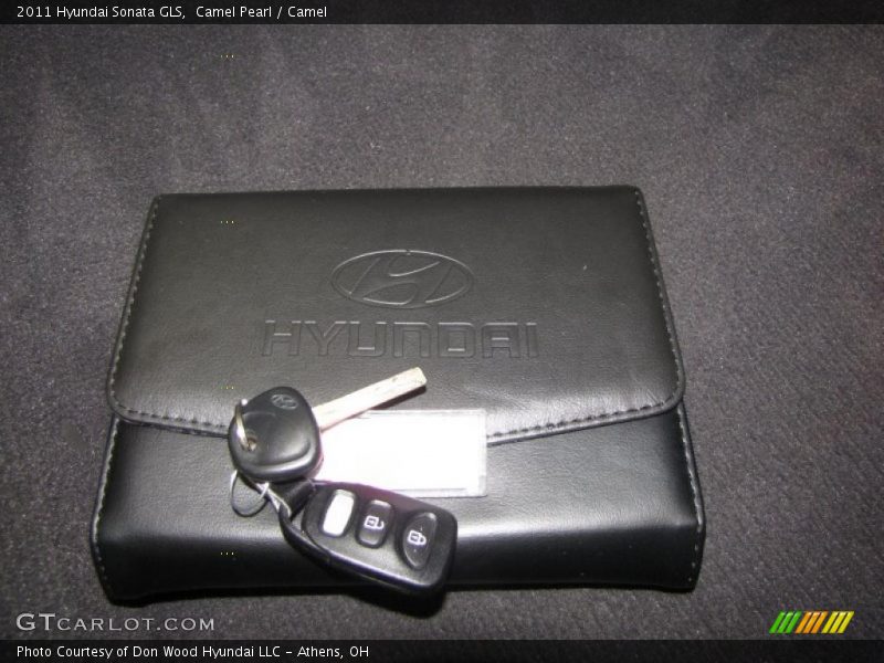 Camel Pearl / Camel 2011 Hyundai Sonata GLS
