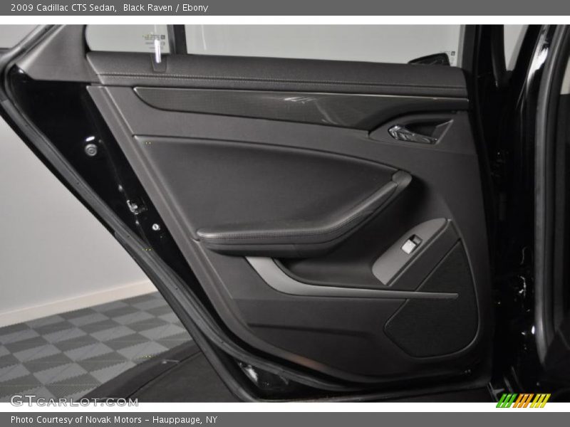 Door Panel of 2009 CTS Sedan