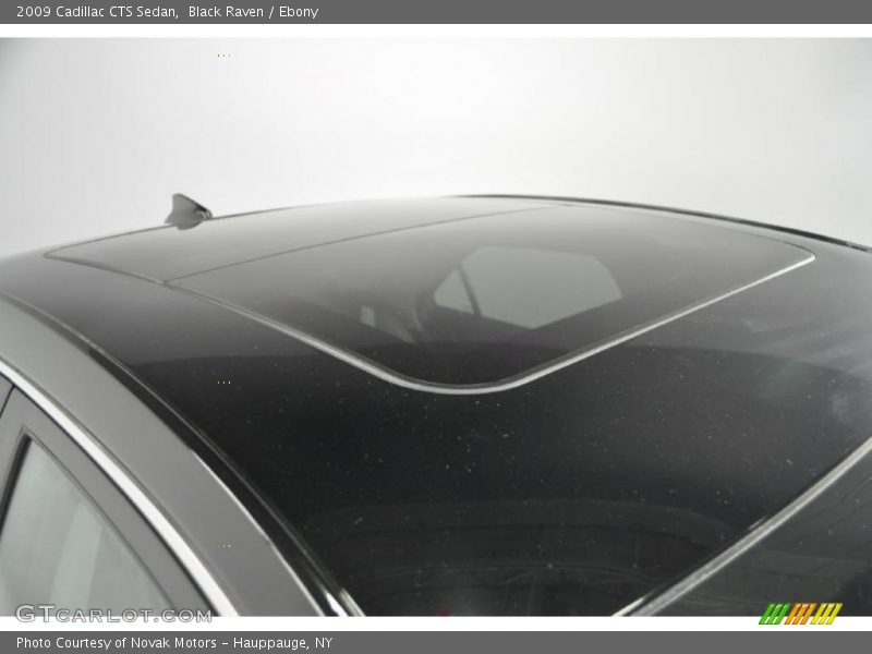 Sunroof of 2009 CTS Sedan