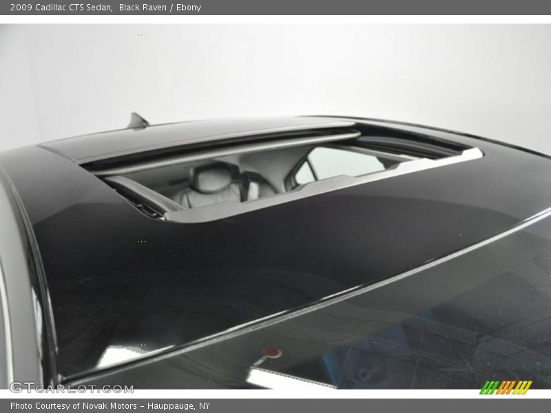 Sunroof of 2009 CTS Sedan