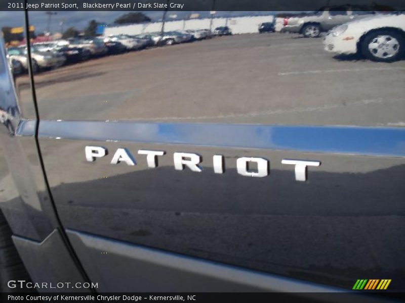  2011 Patriot Sport Logo