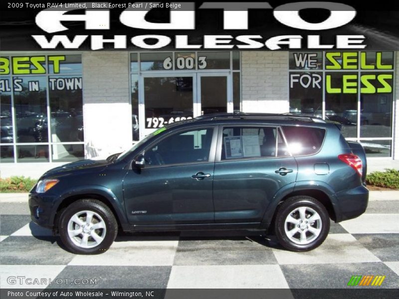 Black Forest Pearl / Sand Beige 2009 Toyota RAV4 Limited