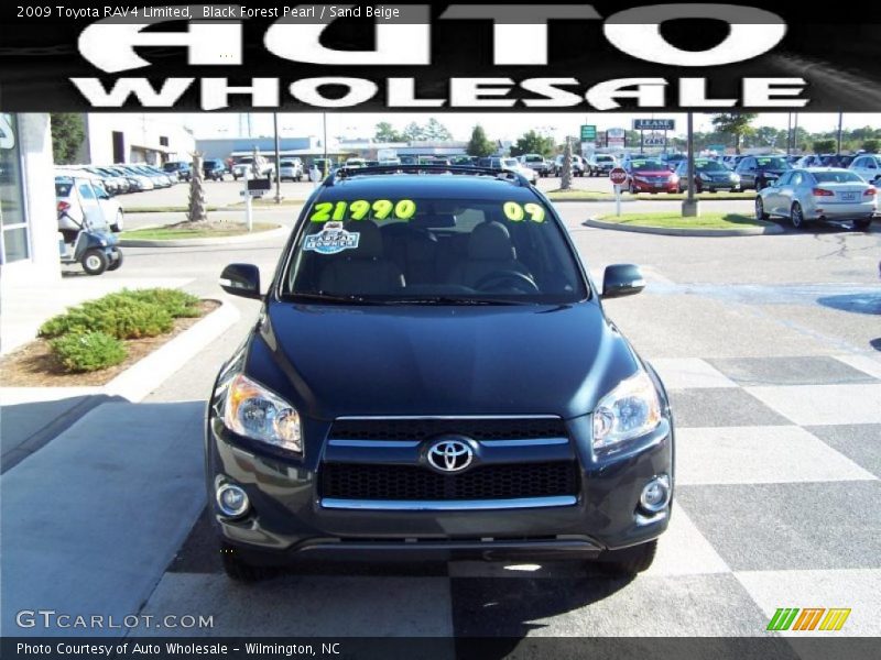 Black Forest Pearl / Sand Beige 2009 Toyota RAV4 Limited