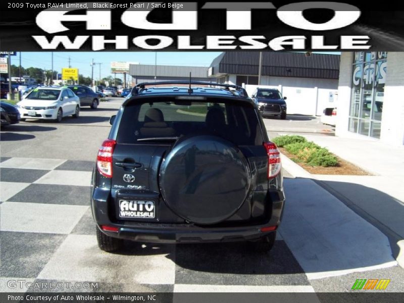Black Forest Pearl / Sand Beige 2009 Toyota RAV4 Limited