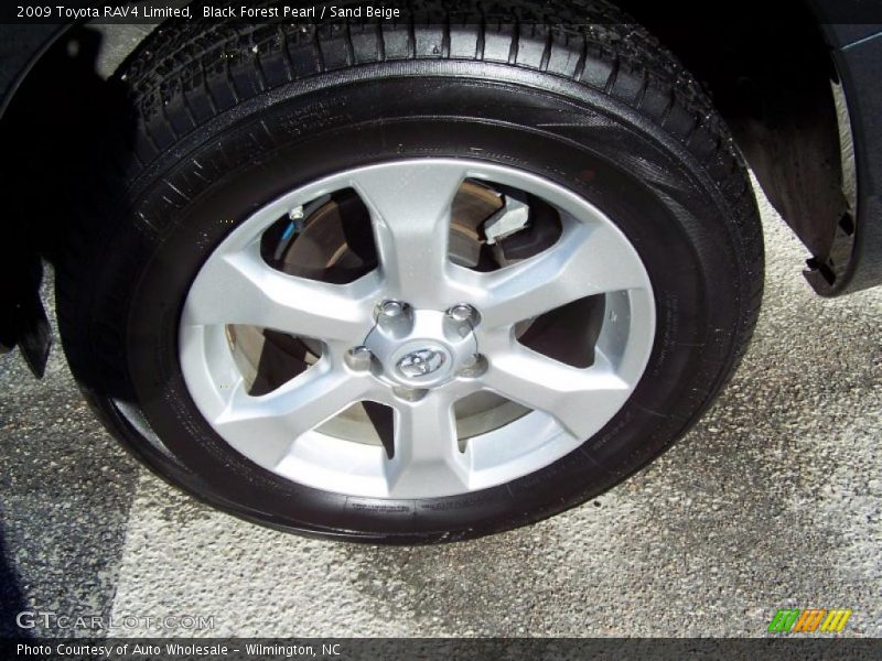 Black Forest Pearl / Sand Beige 2009 Toyota RAV4 Limited