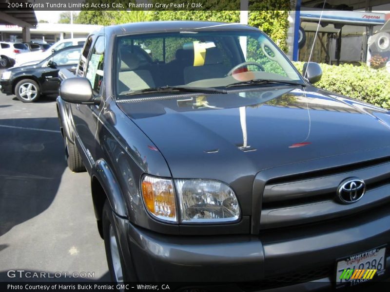 Phantom Gray Pearl / Oak 2004 Toyota Tundra Limited Access Cab