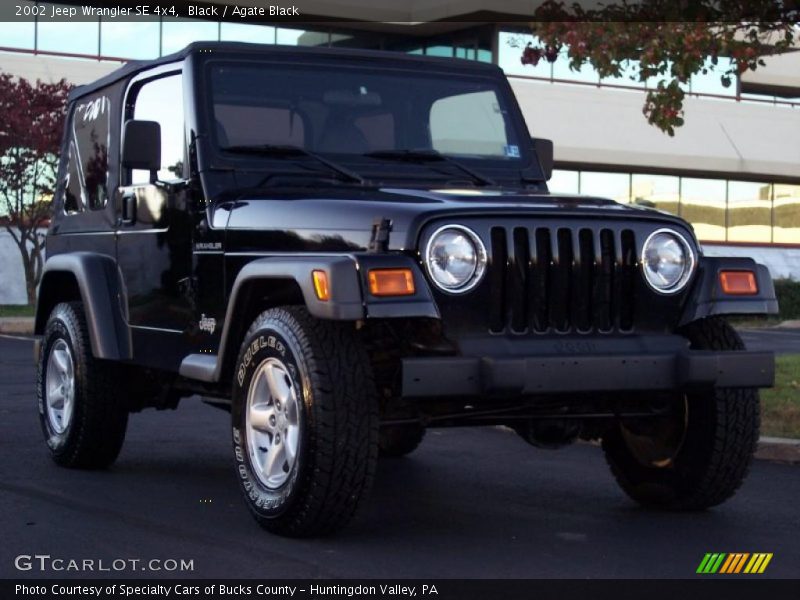 Black / Agate Black 2002 Jeep Wrangler SE 4x4