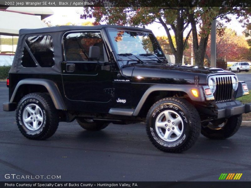 Black / Agate Black 2002 Jeep Wrangler SE 4x4