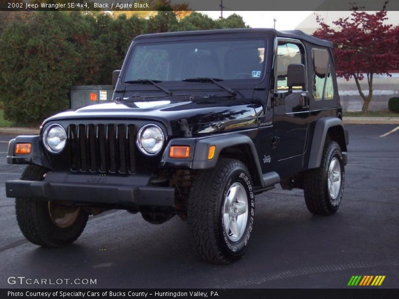 Black / Agate Black 2002 Jeep Wrangler SE 4x4
