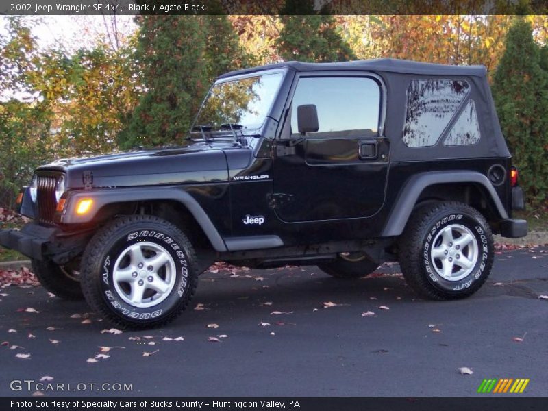 Black / Agate Black 2002 Jeep Wrangler SE 4x4