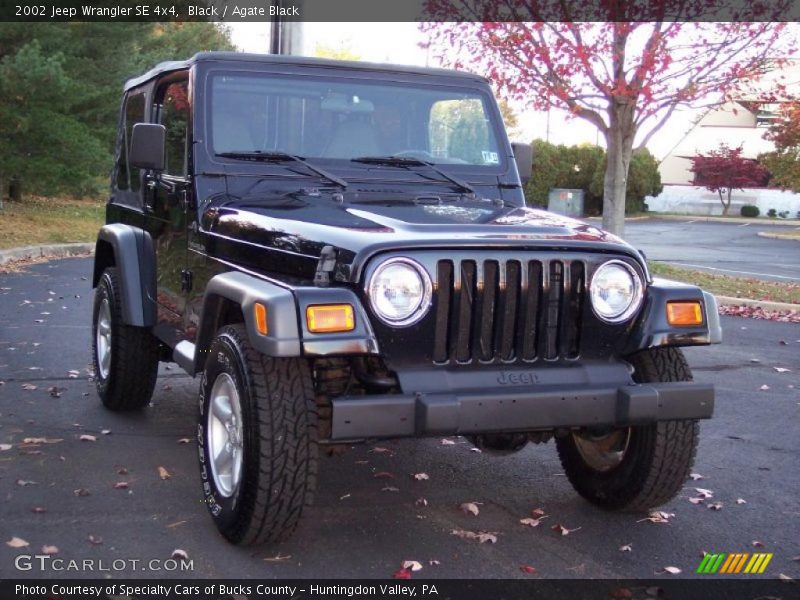 Black / Agate Black 2002 Jeep Wrangler SE 4x4
