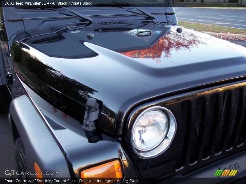 Black / Agate Black 2002 Jeep Wrangler SE 4x4