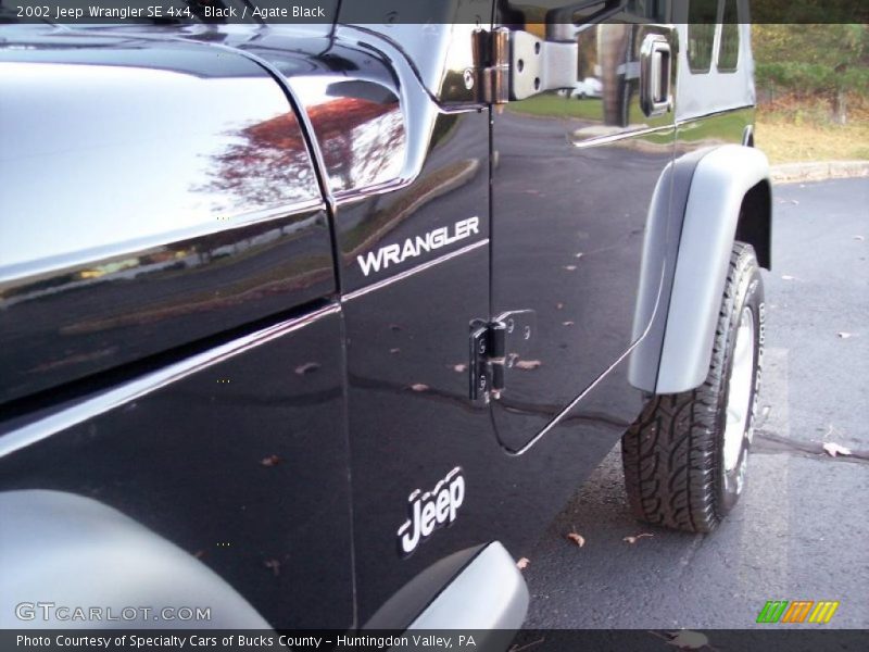Black / Agate Black 2002 Jeep Wrangler SE 4x4